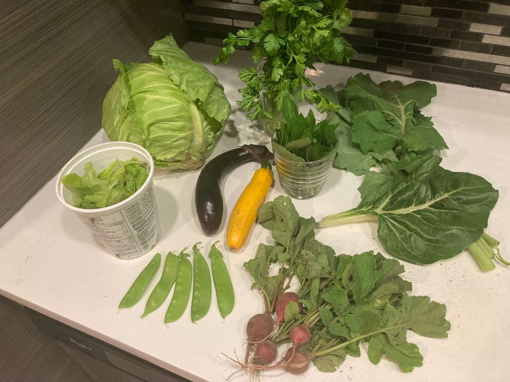 Part de récolte, Collectif Végé 2025