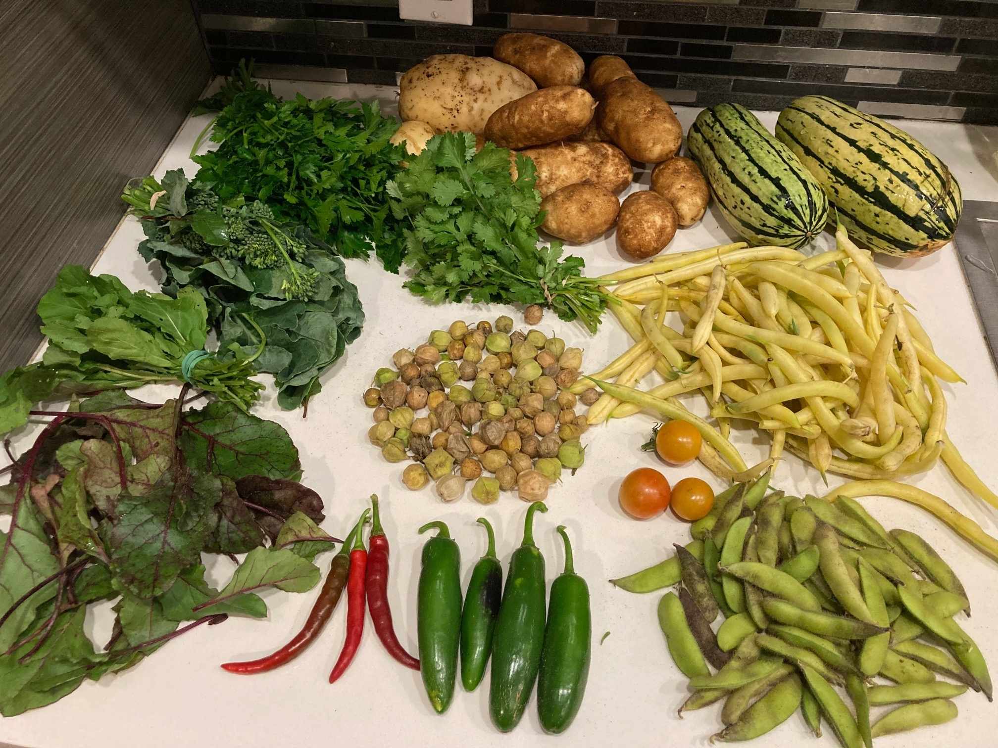 Part de récolte, Collectif Végé 2025