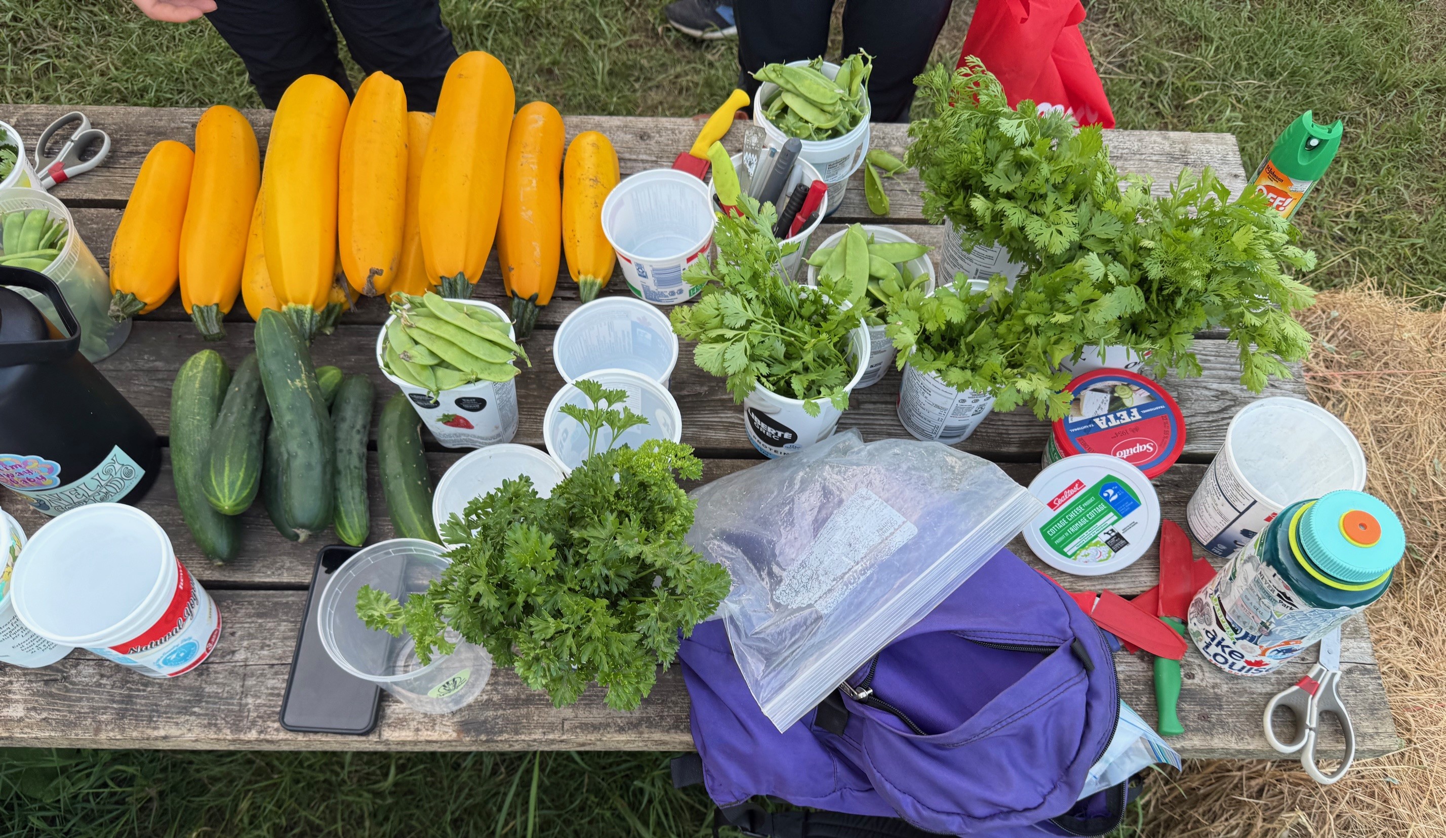 La communauté du Collectif Végé